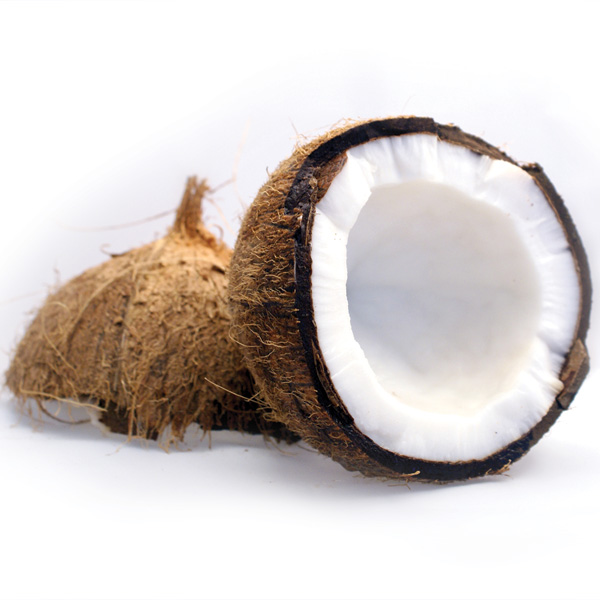 Coconut