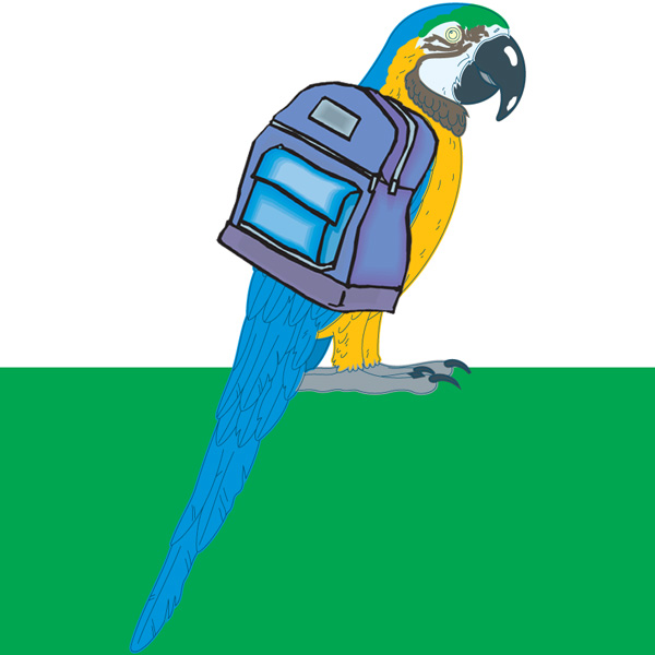 ParrotBackpack