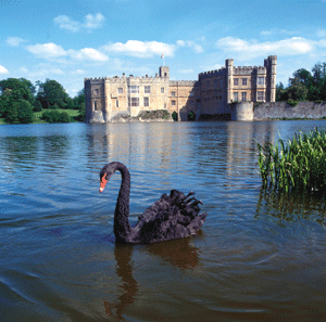 Leeds Castle