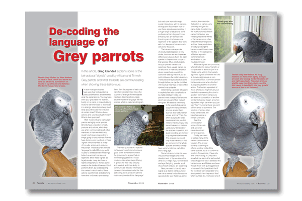 Parrots magazine