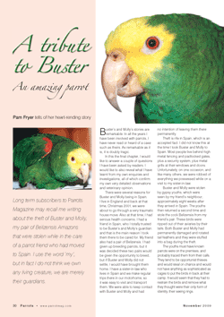 Parrots magazine