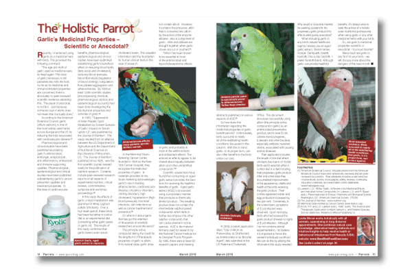 Inside the latest Parrots magazine