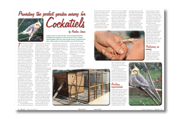 Inside the latest Parrots magazine