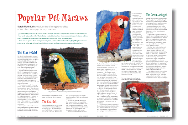 Parrots magazine September 2010