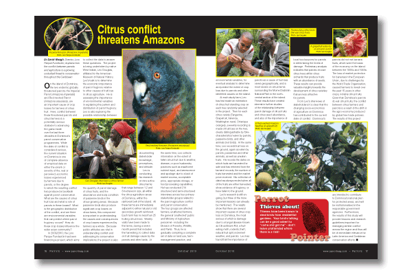 What's in Parrots magazine 153