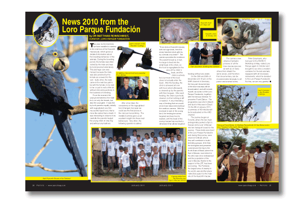 Parrots magazine January 2011 edition