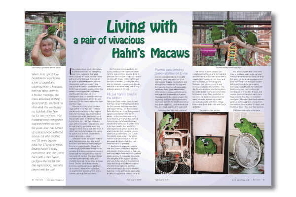 Parrots Magazine 157