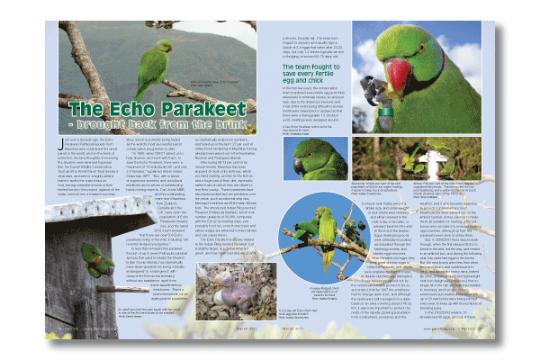 Parrots magazine March 2011