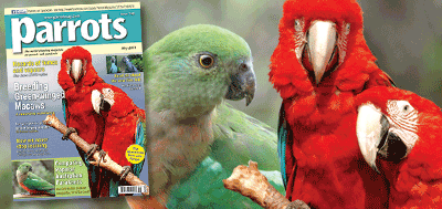 Parrots magazine 160