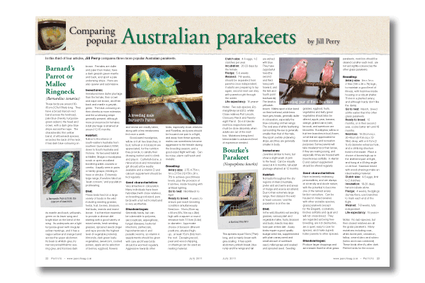 Parrots magazine edition 162