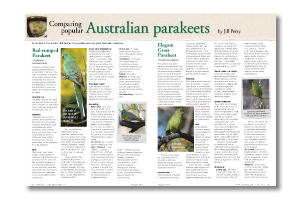 Parrots magazine August 2011