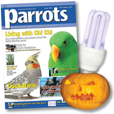 Parrots magazine November 2011