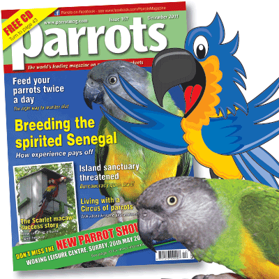 Parrots magazine 167