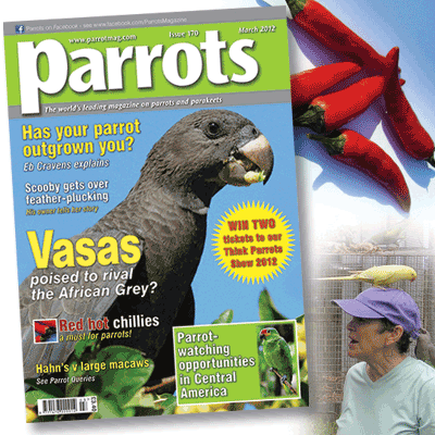 Parrots magazine, March 2012