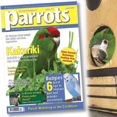 Parrots magazine April 2012