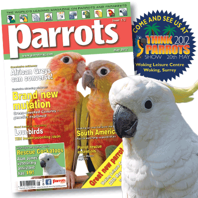 Parrots magazine May 2012