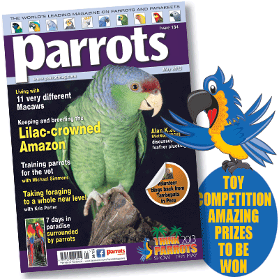 Parrots magazine May 2013