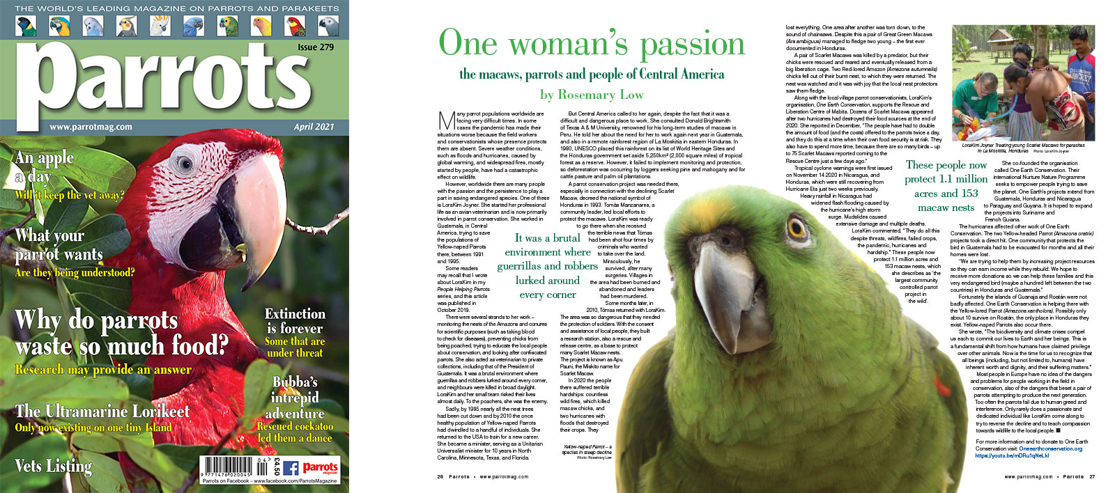 Spreads for web Parrots 278 4