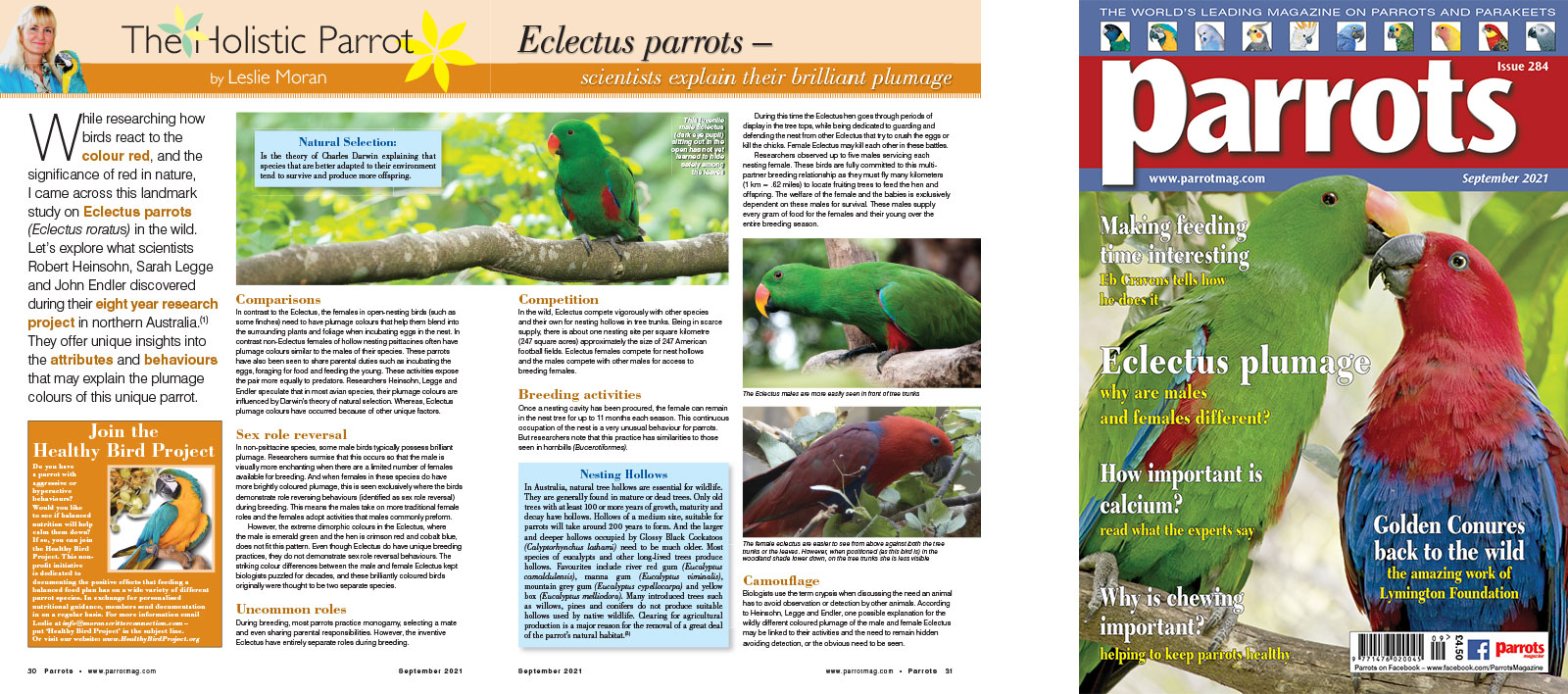 Spreads for web Parrots 278 4