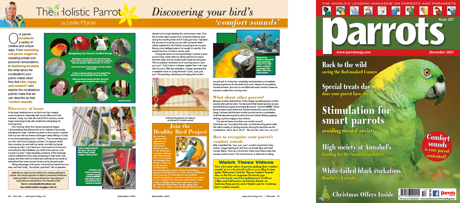 Spreads for web Parrots 278 4