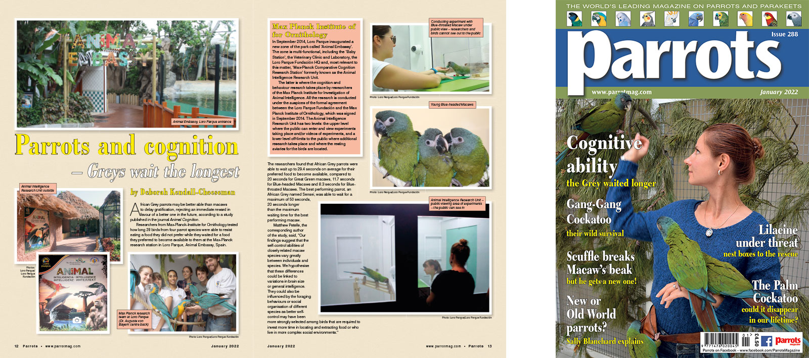 Spreads for web Parrots 278 4