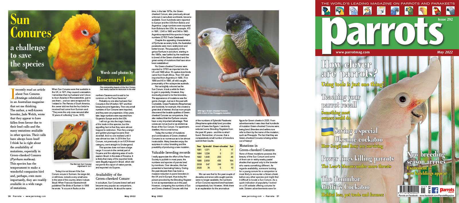 Spreads for web Parrots 278 4