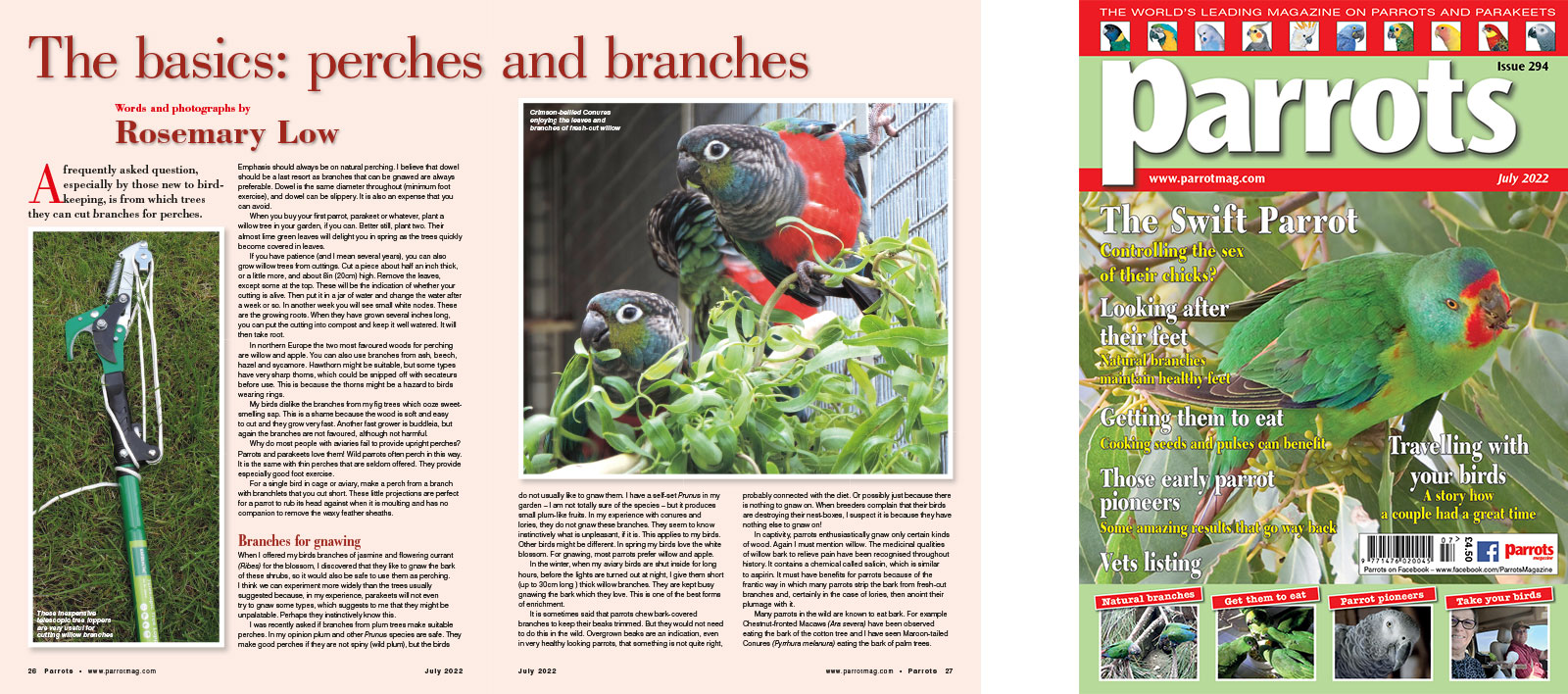 Spreads for web Parrots 278 4