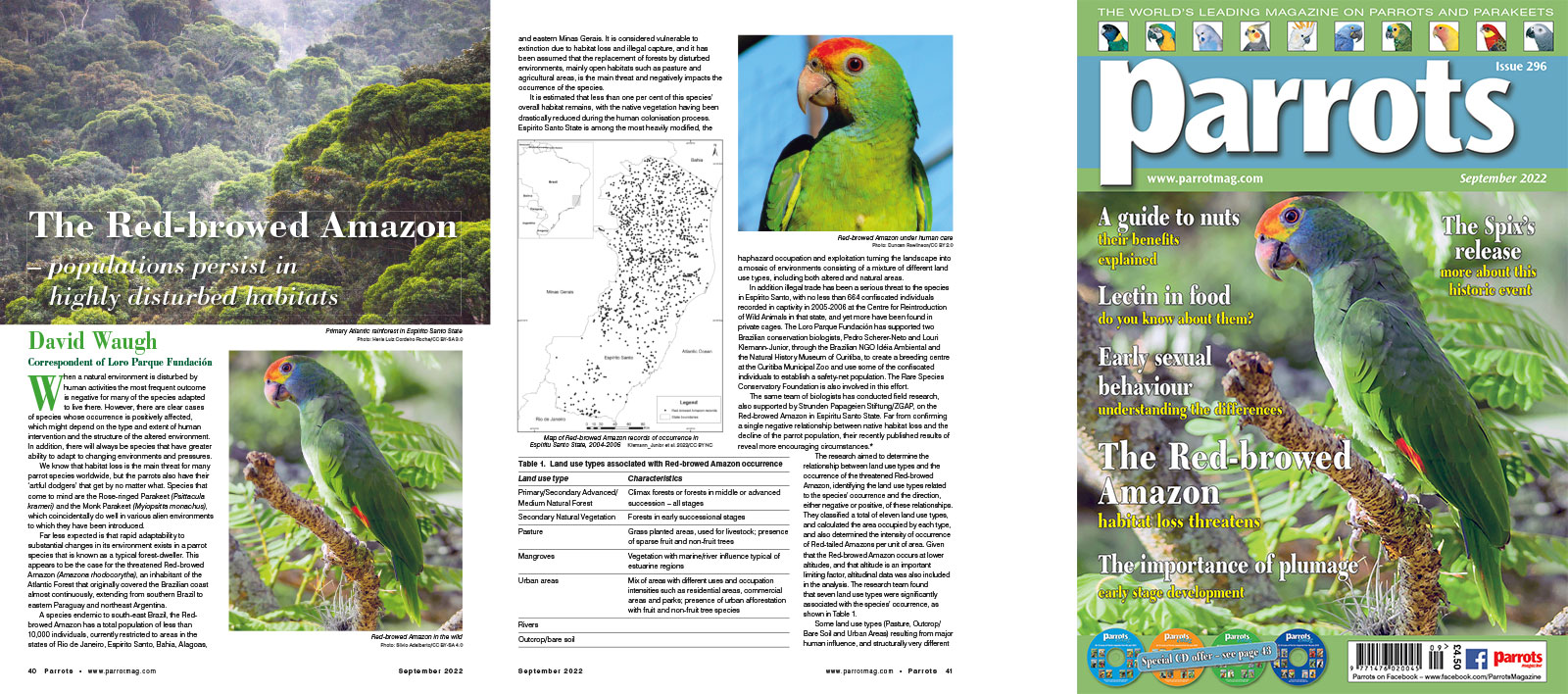 Spreads for web Parrots 278 4