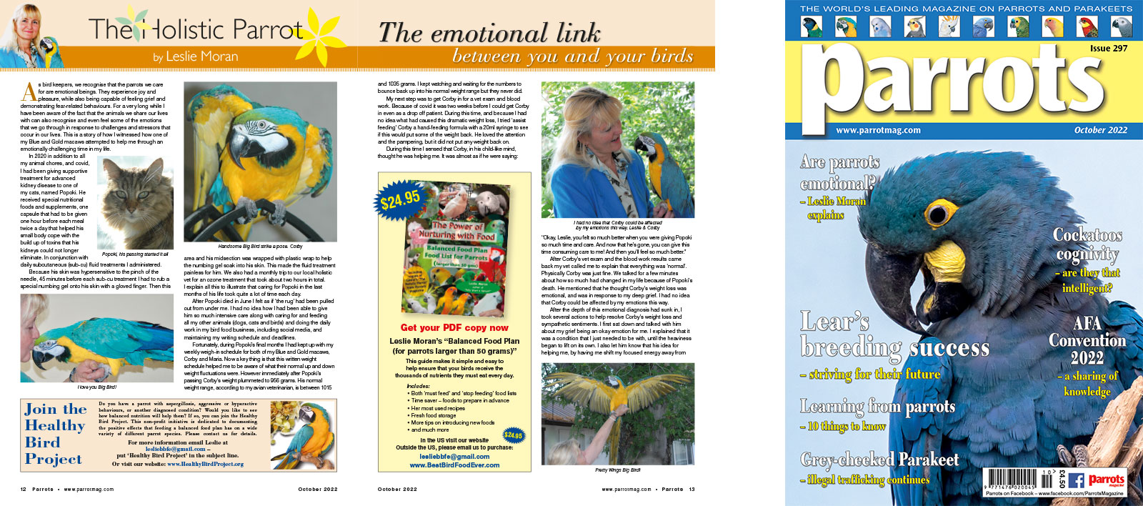 Spreads for web Parrots 278 4