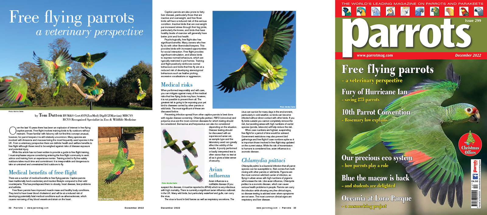 Spreads for web Parrots 278 4