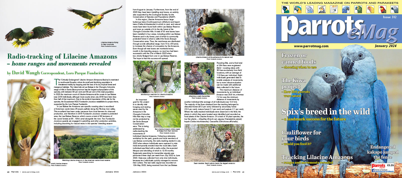 Spreads for web Parrots 278 4