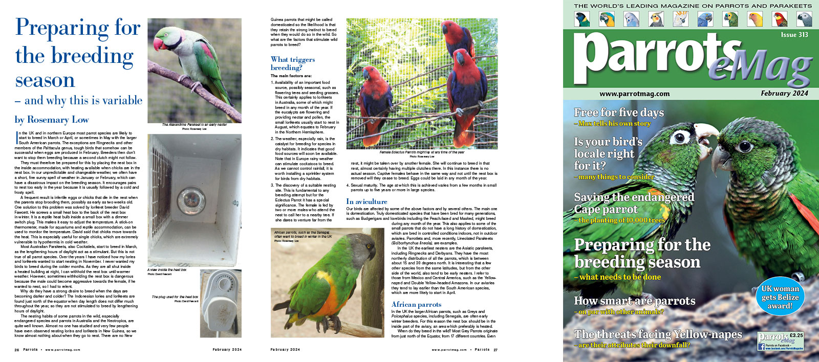 Spreads for web Parrots 278 4