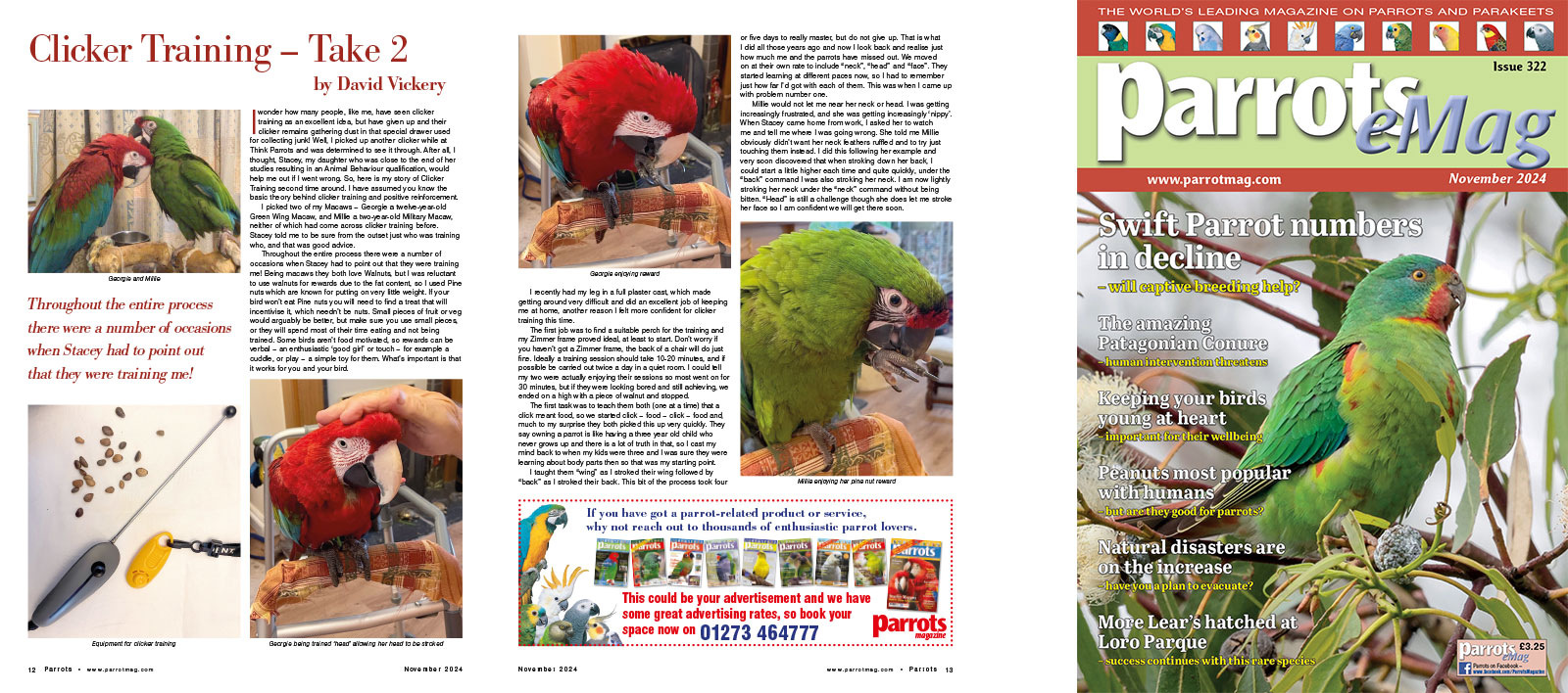 Spreads for web Parrots 278 4