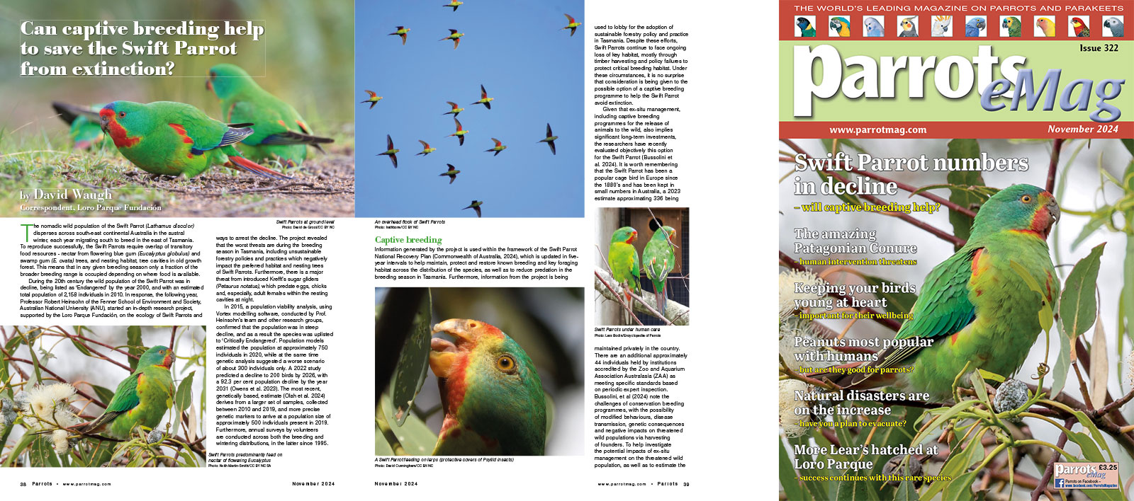 Spreads for web Parrots 278 4