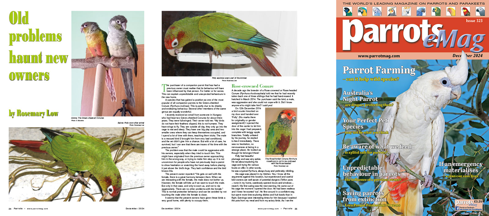 Spreads for web Parrots 278 4