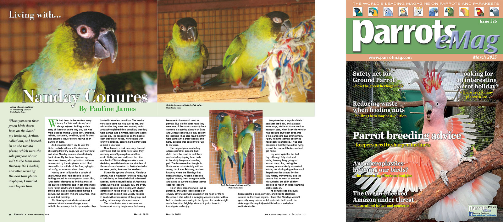 Spreads for web Parrots 278 4