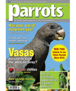 Parrots magazine, Issue 170