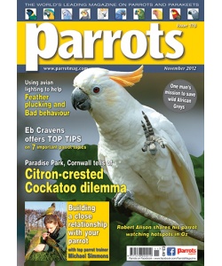 Parrots magazine, Issue 178