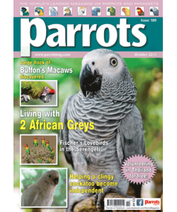 Parrots magazine, Issue 189