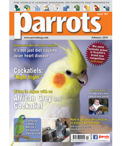 Parrots magazine, Issue 193