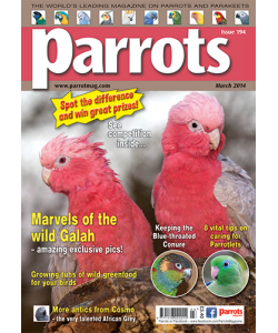 Parrots magazine, Issue 194