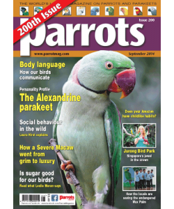 Parrots 200