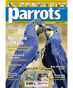 Parrots magazine, Issue 204, January 2015