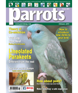 Parrots 205