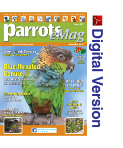 Parrots magazine eMag 202 November 2014