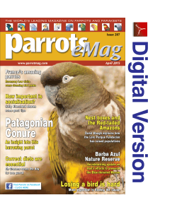 Parrots magazine eMag 207 April 2015