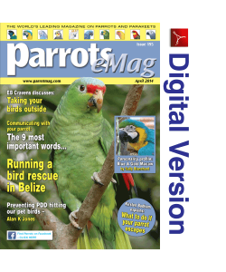 Parrots magazine eMag 195 April 2014