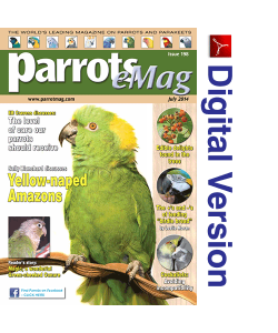 Parrots magazine eMag 198 July 2014