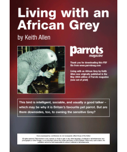 Living with an African Grey