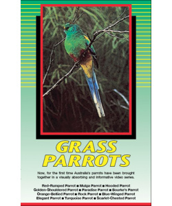 Land of Parrots - Grass Parrots